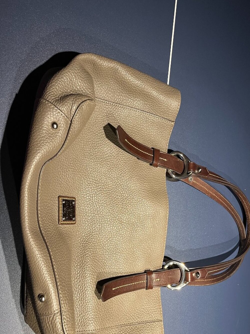 Dooney & Bourke East/West Skylar Tote